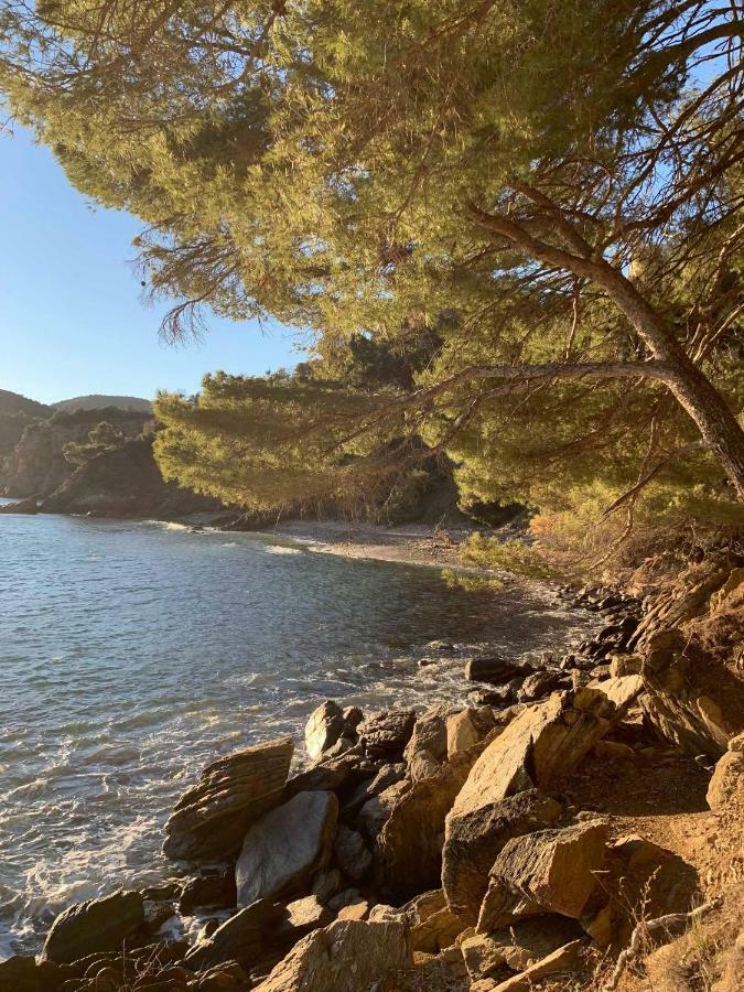 Villa Cavalaire Sur Mer Екстериор снимка